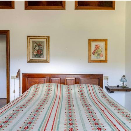 Divinae Cintoia Villa Greve in Chianti Dış mekan fotoğraf